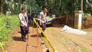 Berita Suami Mutilasi Istri