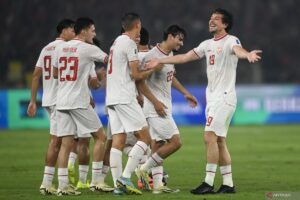 Timnas Indonesia